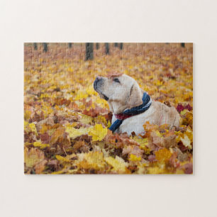 Cute Labrador Dog in Fall Leaves Legpuzzel