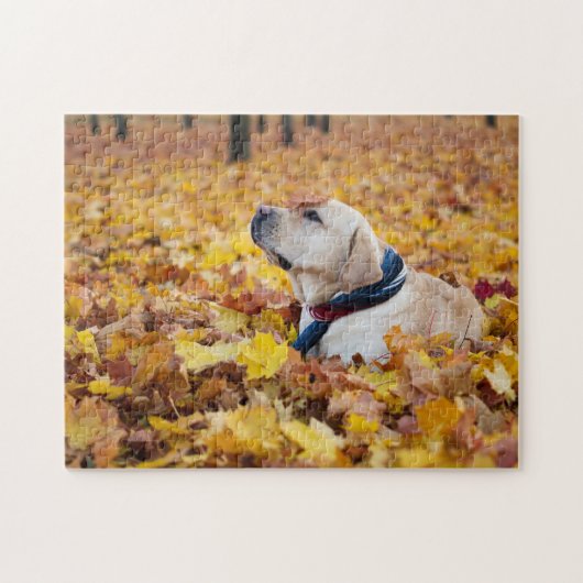 Cute Labrador Dog in Fall Leaves Legpuzzel (Horizontaal)