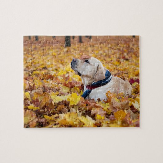 Cute Labrador Dog in Fall Leaves Legpuzzel (Horizontaal)