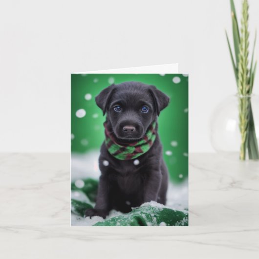 Cute Labrador Puppy in een Green Winter Scarf Kaart (Voorkant)