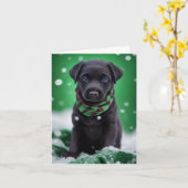 Cute Labrador Puppy in een Green Winter Scarf Kaart (Gele Bloem)