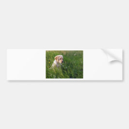 Cute Labrador Puppy in Grass Bumpersticker