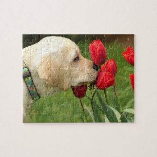 Cute Labrador Puppy Puzzle Legpuzzel
