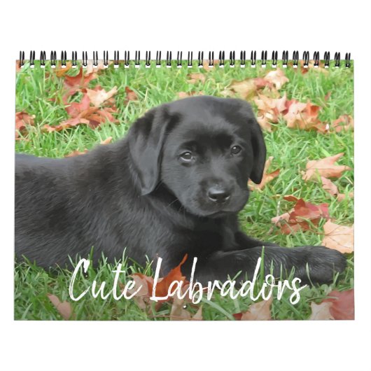 Cute Labradors - Black Labrador Retriever Dog Kalender (Hoes)