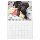 Cute Labradors - Black Labrador Retriever Dog Kalender (Mar 2026)