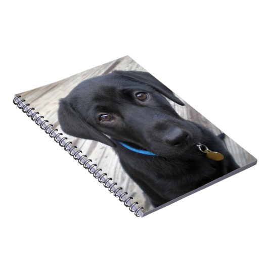 Cute labs notitieboek (Rechterzijde)