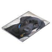 Cute labs notitieboek (Linkerzijde)