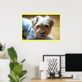 Cute lachende yorkie puppy dog yorkshire shier poster (Thuiskantoor)