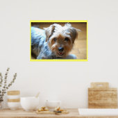 Cute lachende yorkie puppy dog yorkshire shier poster (Keuken)