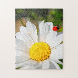Cute Ladybird on Marguerite Daisy Flower  Legpuzzel