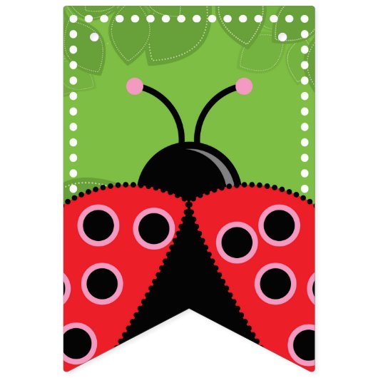 Cute Ladybug Birthday Bunting Flags/Banner Vlaggetjes (Eerste vlag)