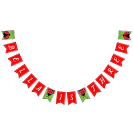 Cute Ladybug Birthday Bunting Flags/Banner Vlaggetjes