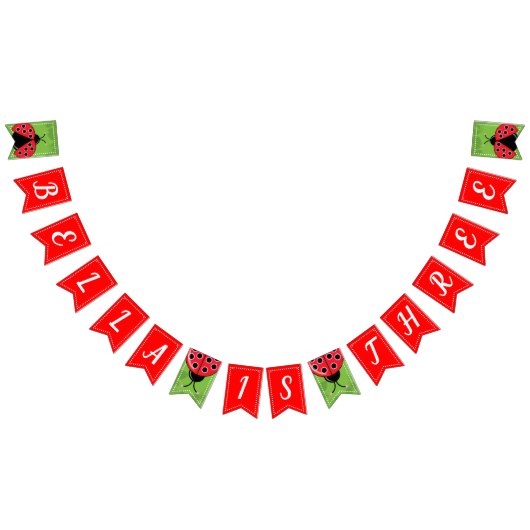 Cute Ladybug Birthday Bunting Flags/Banner Vlaggetjes (Alle)