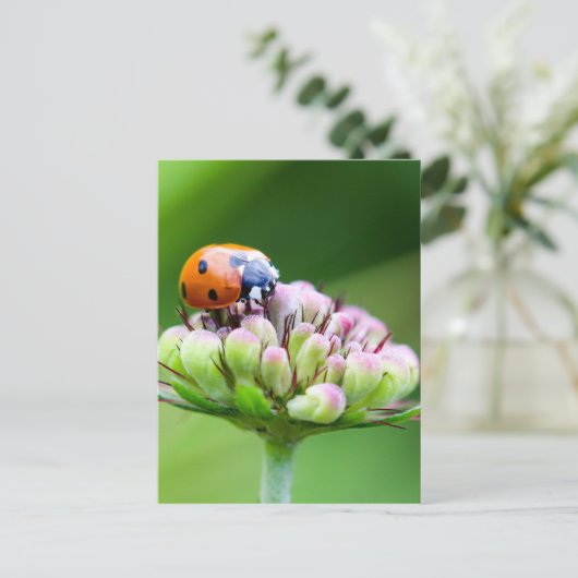 Cute Ladybug Briefkaart (Staand voorkant)