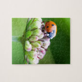 Cute Ladybug Legpuzzel (Horizontaal)