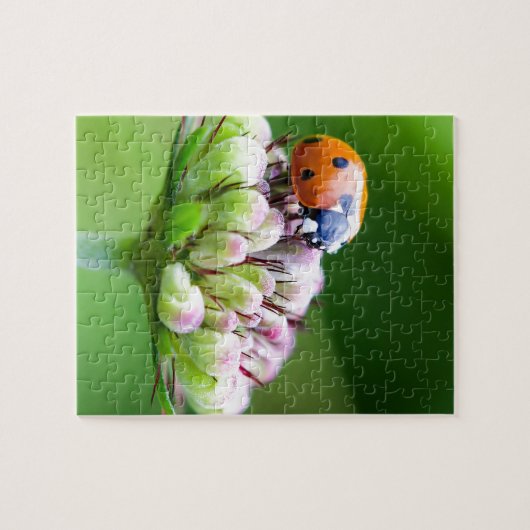 Cute Ladybug Legpuzzel (Horizontaal)