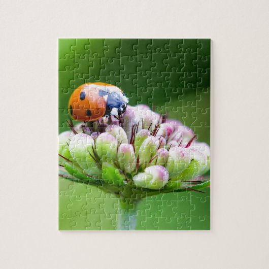 Cute Ladybug Legpuzzel (Verticaal)