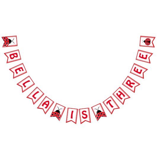 Cute Ladybug verjaart Bunting Flag voor Girl Vlaggetjes (Alle)