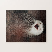 Cute Laughing Black and White Owl Legpuzzel (Horizontaal)