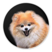 Cute Laughing Pomeranian Dog Keramische Knop (Voorkant)
