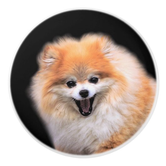 Cute Laughing Pomeranian Dog Keramische Knop (Voorkant)