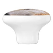 Cute Laughing Pomeranian Dog Keramische Knop (Zijkant)