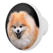 Cute Laughing Pomeranian Dog Keramische Knop (Rechts)
