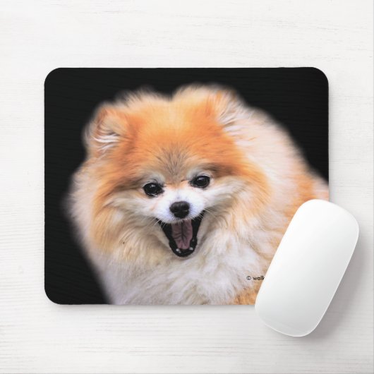 Cute Laughing Pomeranian Dog Muismat (Met muis)