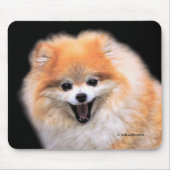 Cute Laughing Pomeranian Dog Muismat (Voorkant)