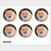 Cute Laughing Pomeranian Dog Ronde Sticker (Vel)
