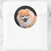 Cute Laughing Pomeranian Dog Ronde Sticker (Tas)