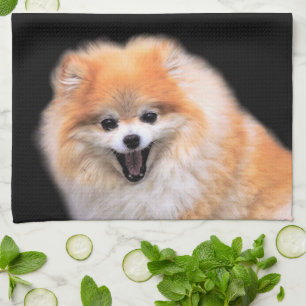 Cute Laughing Pomeranian Dog Theedoek