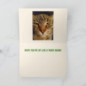 Cute Lazy Cat krijgt goed Kaart (Binnen)