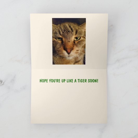 Cute Lazy Cat krijgt goed Kaart (Binnen)