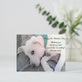 Cute Lazy White Dog Wearing Green Scarf Briefkaart (Staand voorkant)