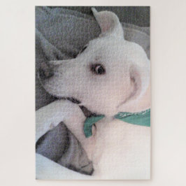 Cute Lazy White Dog Wearing Green Scarf Legpuzzel