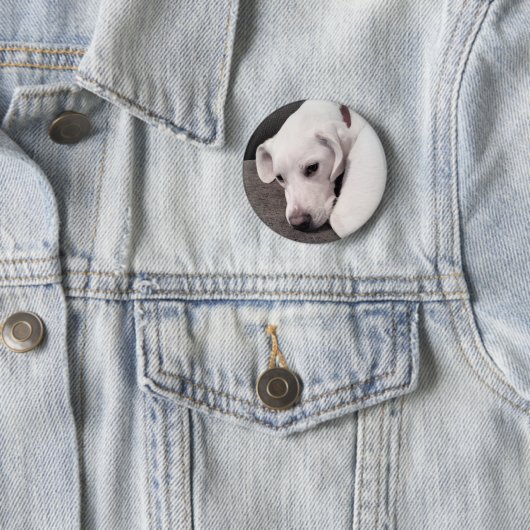 Cute Lazy White Labrador Retriever Mix Dog Button (In situ)
