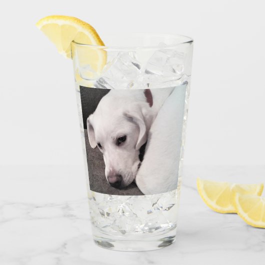 Cute Lazy White Labrador Retriever Mix Dog Glass Glas (Voorkant ijs)