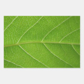 Cute Leafy Greens Sluit Green Leaf Premium F Inpakpapier Vel (Voorkant 3)