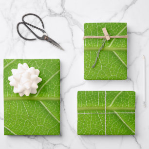 Cute Leafy Greens Sluiten Groene Leaf Premium F Inpakpapier Vel