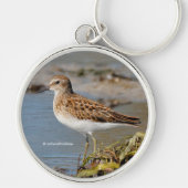 Cute Least Sandpiper on Mudflats Sleutelhanger (Voorkant)
