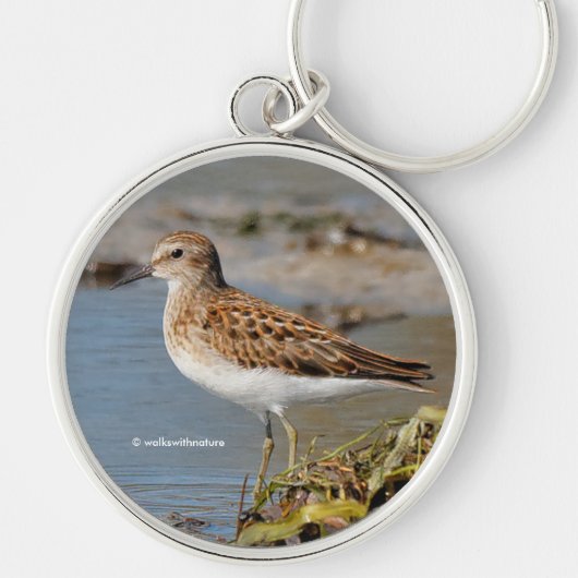 Cute Least Sandpiper on Mudflats Sleutelhanger (Voorkant)
