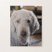 Cute Legpuzzel (Verticaal)
