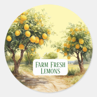 Cute lemon business customizable  ronde sticker