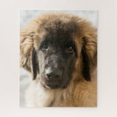 Cute Leonberger Puppy Legpuzzel (Verticaal)