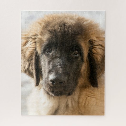 Cute Leonberger Puppy Legpuzzel (Verticaal)