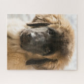 Cute Leonberger Puppy Legpuzzel (Horizontaal)