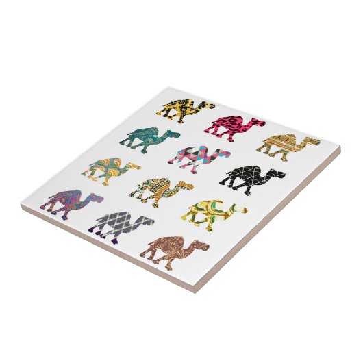 Cute leuke kamelen tegeltje (Zijkant)