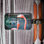 Cute leuke roze flamingo vogels foto aangepast naa bagagelabel<br><div class="desc">Wie zegt dat flamingos geen lol kan hebben met hun favoriete vriend? Geniet van dit vermakelijke afbeelding wanneer je deze verbluffende, kleurrijke foto-gepersonaliseerde naam gebruikt, bagagelabel van twee roze flamingos die rondspelen. Maakt een groot cadeau voor je beste vriend! Typ alleen de naam van uw keuze en u kunt dit...</div>