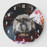 Cute lhasa apso puppy met kerstmis b
